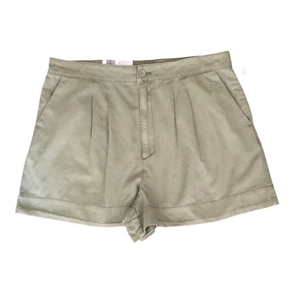 Joie NWT Women Flattering Pleated High Rise Subtle A-line Shorts XL Faded Cactus - Picture 1 of 15